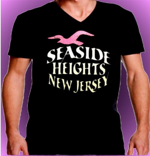 Seagull Seaside Heights V-Neck 473 - Shore Store 
